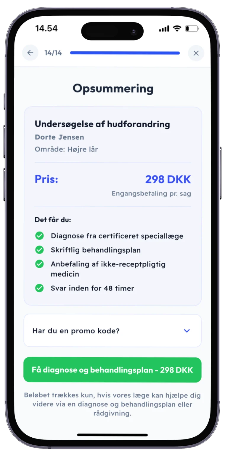 Skærmbillede fra SKIND-appen: Gennemse og betal