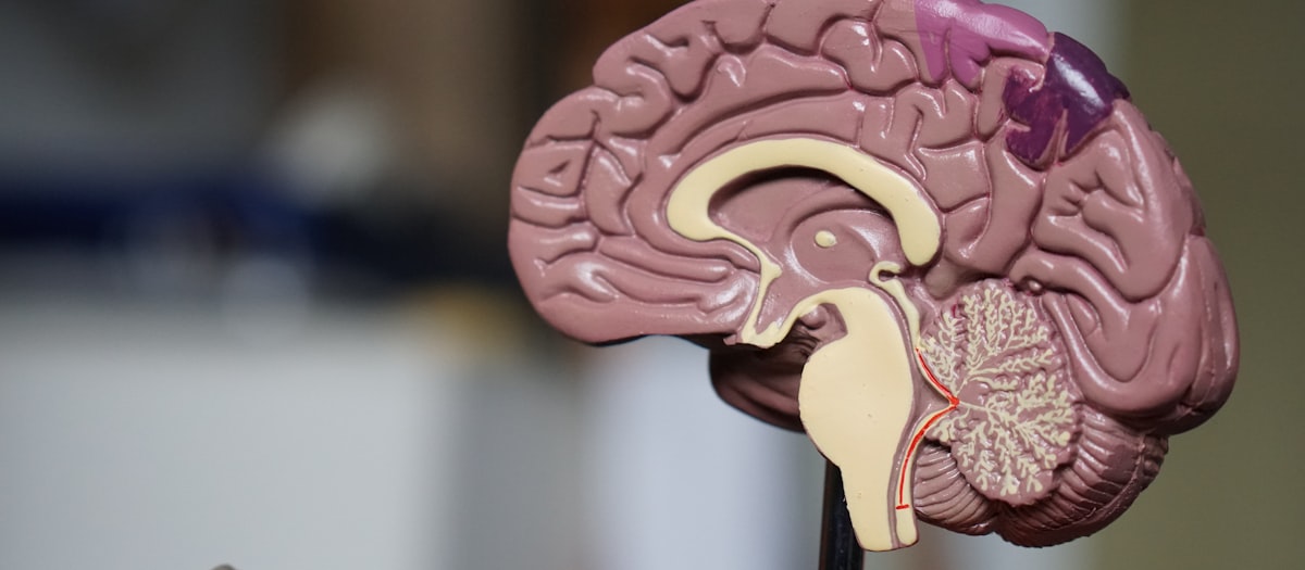 Basalcellcarcinom BCC hudkræft behandling